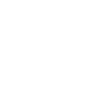 Spotify icon